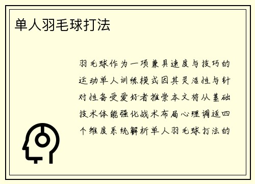 单人羽毛球打法